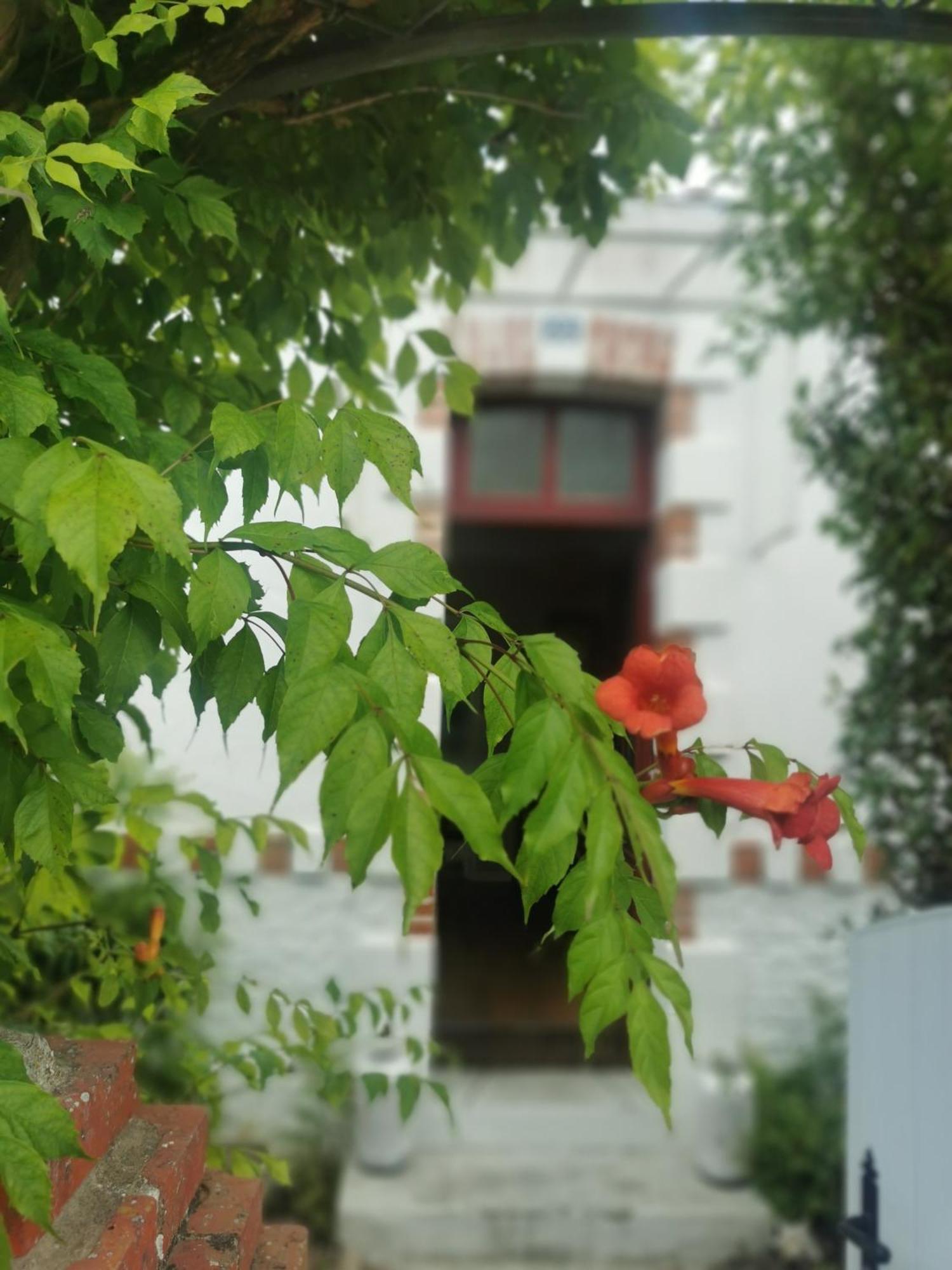 Au Coin Fleuri Villa La Bernerie-en-Retz Buitenkant foto